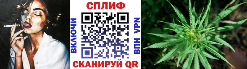 цены   Всеволожск  Канабис конопля 